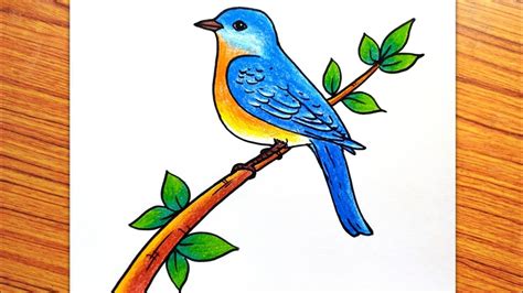 bird pictures to draw